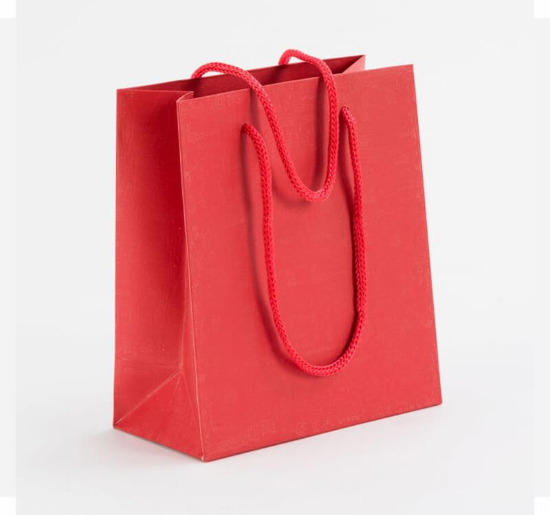 Shopping Paper Bag